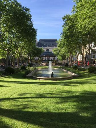 Le Cosy Central Moderne Et Chaleureux Saint-Etienne  Exterior foto